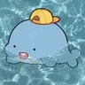 Profile image of 뜰팁