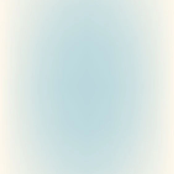透