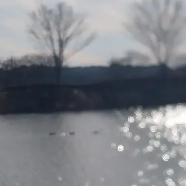 Profile image of 원장쌤