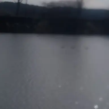 Profile image of 도현