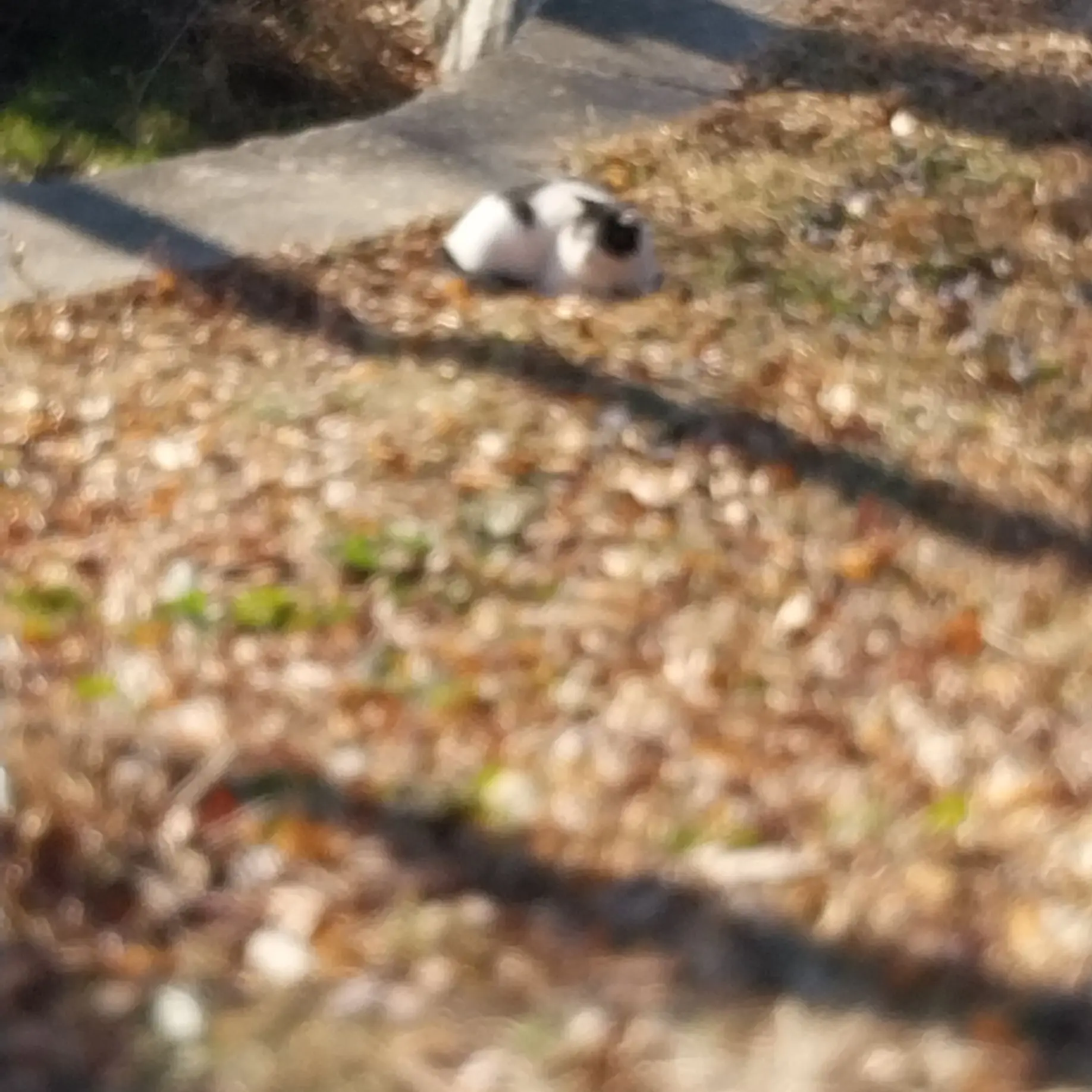 SoreLynx2844의 신나는 영어학원