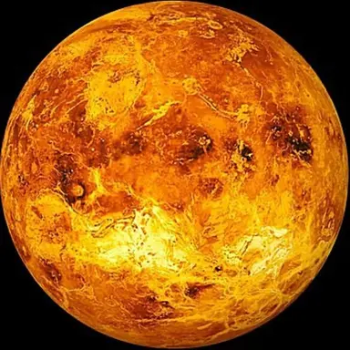 Profile image of 金星