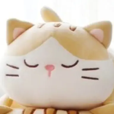 Profile image of 모찌냥