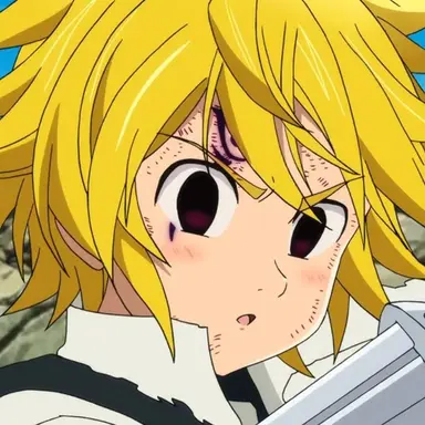 Profile image of メリオダス