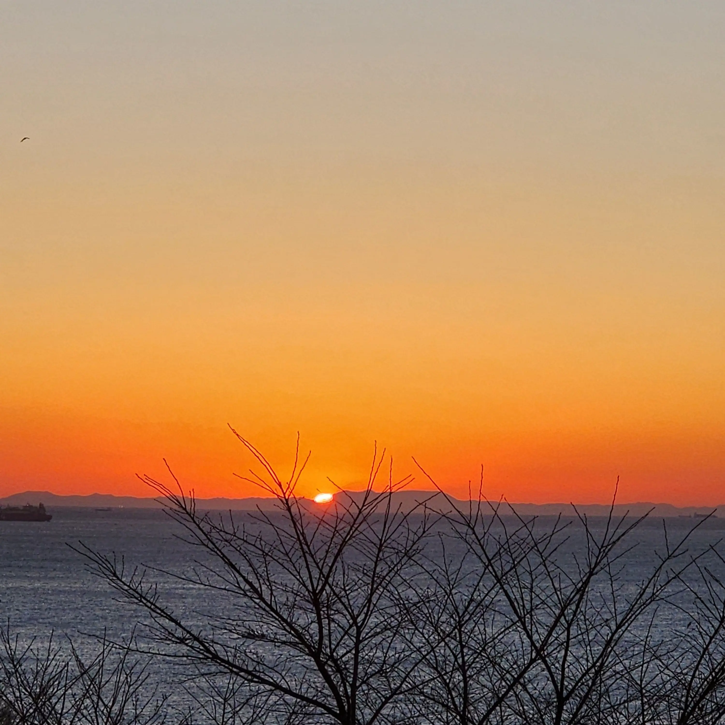 LoudSage7123의 교통사고 미겜즈....(신고 ㄴㄴㅠㅠ