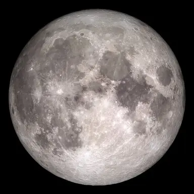 Profile image of 달