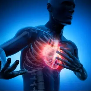 Profile image of 山さん