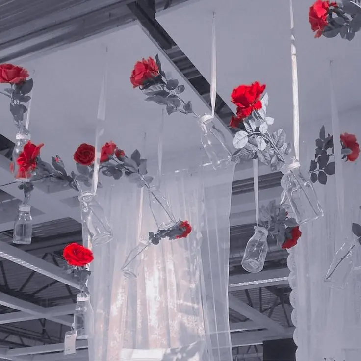 PLV.treasure_jin2580의 도은호