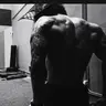Profile image of Enzo