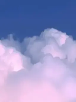 BigEgret4305의 現実世界への帰還