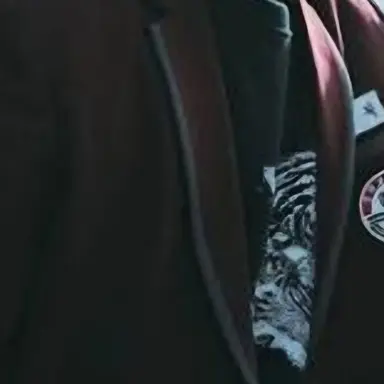 Profile image of 금성제