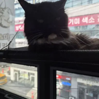 Profile image of 권우진