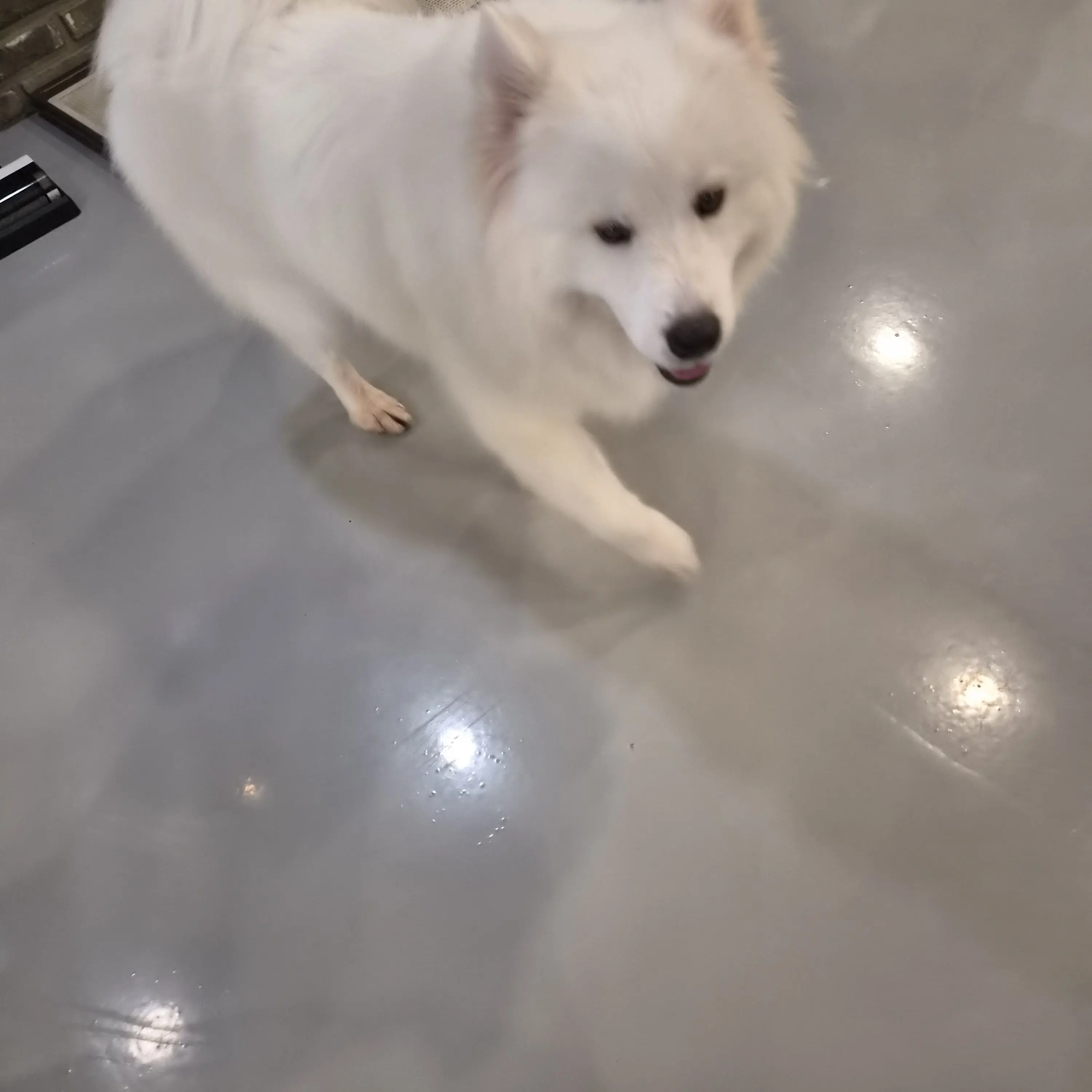 Ys_lx의 체육대회 여신이 되어보자