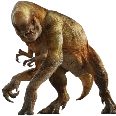 Profile image of 디스토르투스 렉스