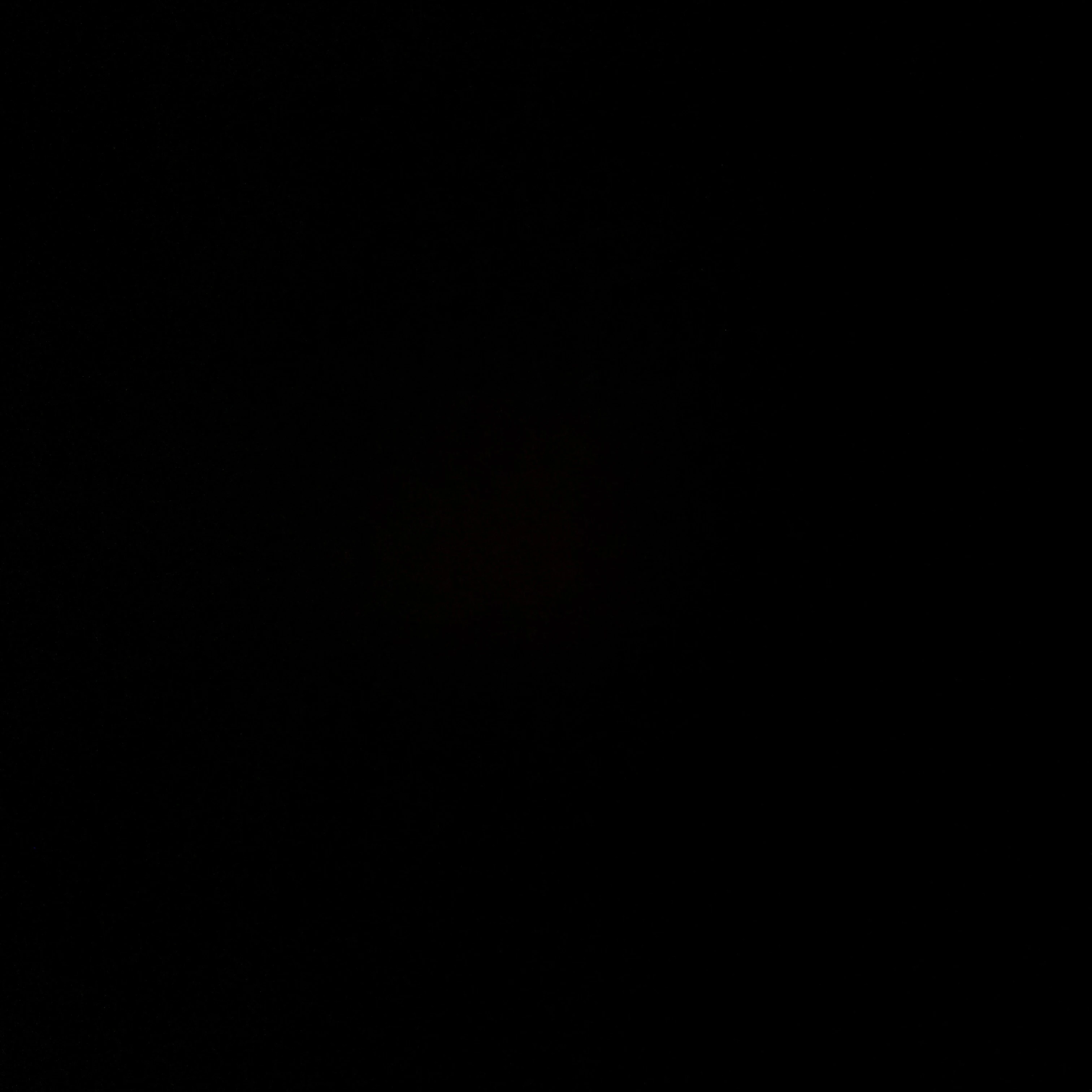 이리우
