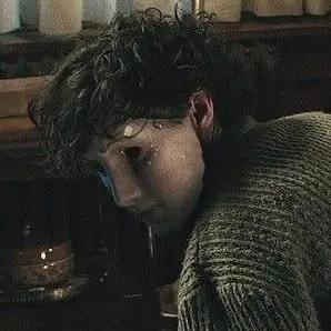 Profile image of BoyInTheWalls