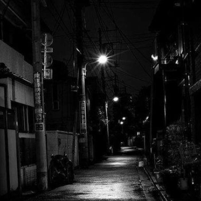 픽셀리 조직 대표 이미지