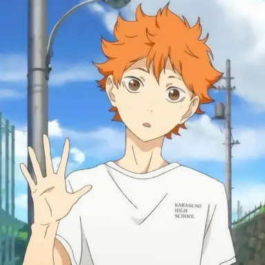 Profile image of Shoyo Hinata