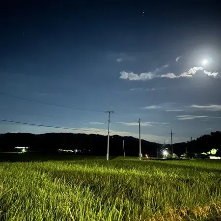 829263627의 백지헌