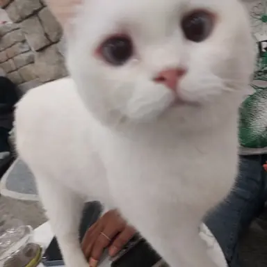 Profile image of 소멸