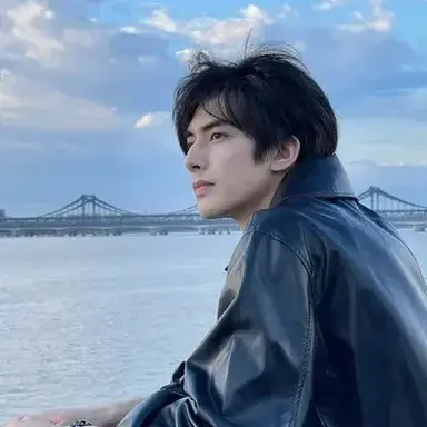 Profile image of Lin Junjie