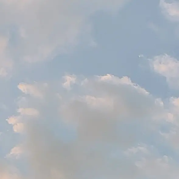 ShrillRelax0497의 ⟡.·*.みそさば様へ⟡.·*.