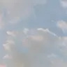 Profile image of もも
