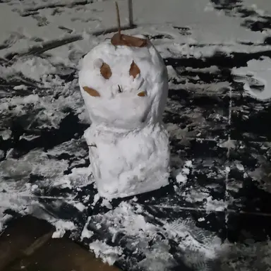 Profile image of 학생들