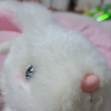 Profile image of 토토