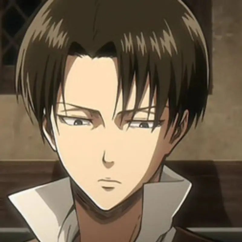 FutureMudi9022의 수인 리바이