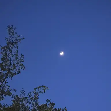 Profile image of 김일영