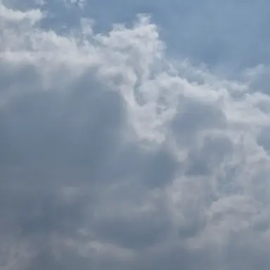 Profile image of 이서