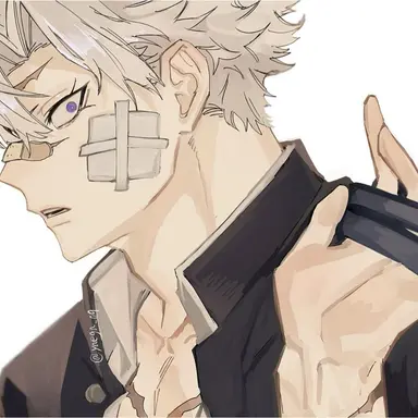 Profile image of 시나즈가와 사네미