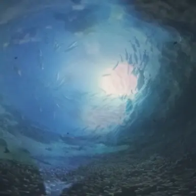 Profile image of 고고프랜즈.효빈