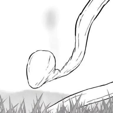 Profile image of 쿠네쿠네
