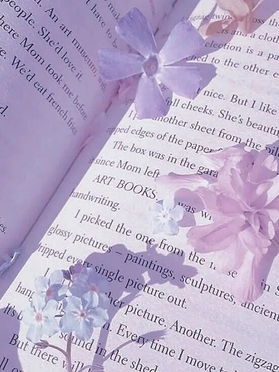 plliessie의 한노아