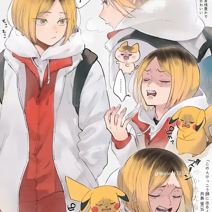 ArcticCase0446의 孤爪研磨