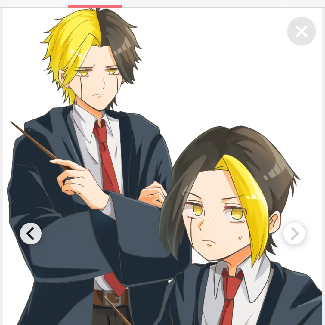 AngryFrame4398의 エイムズ兄弟