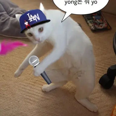 Profile image of 한이수