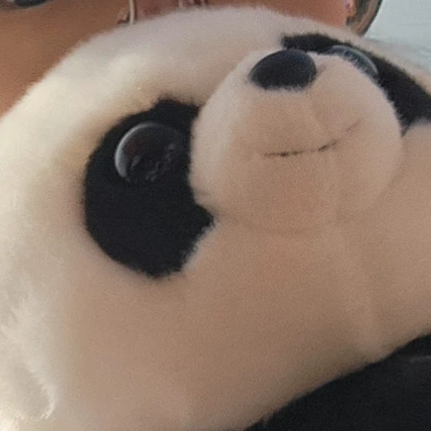 문채원