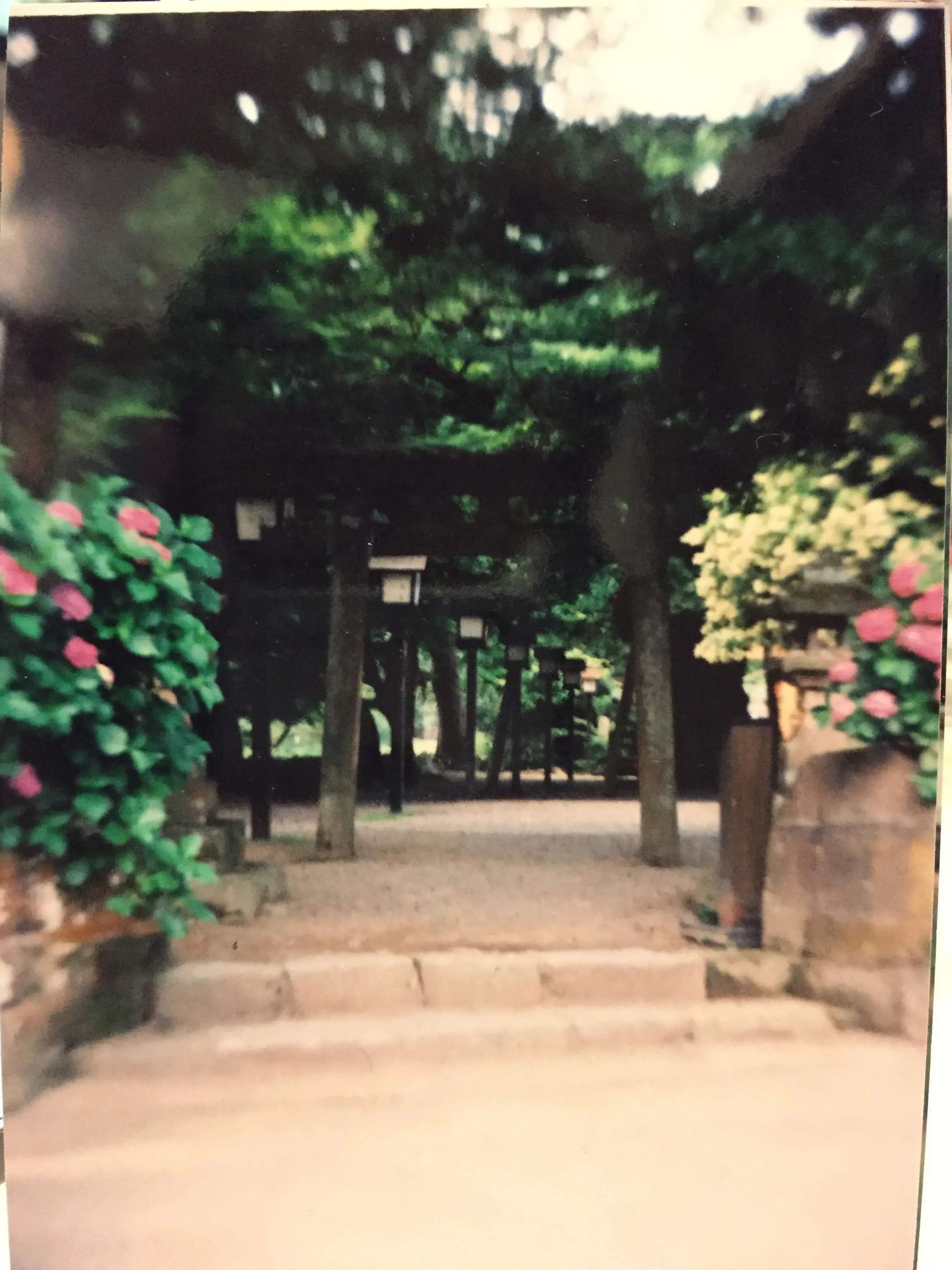 SoggyJeans9472의 放棄された本丸からの脱出