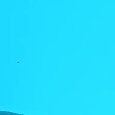Profile image of 5人兄妹の親