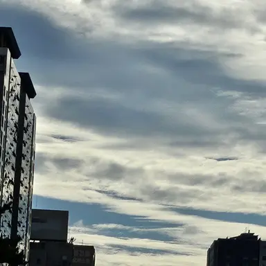 Profile image of 이준혁