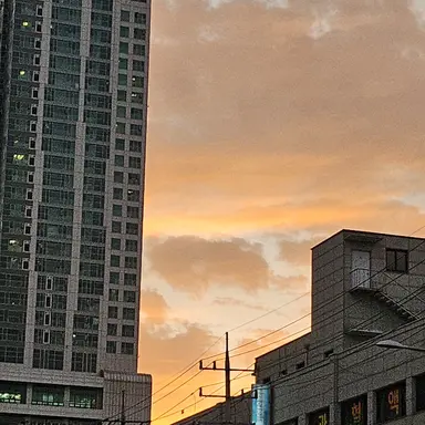 Profile image of 김샛별