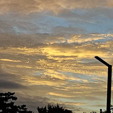 Profile image of 유저님에 쌈뽕한이름