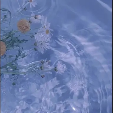 Profile image of 잠뜰