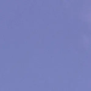 Profile image of 鬱