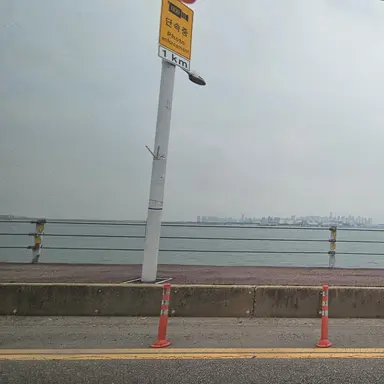 Profile image of 송하영