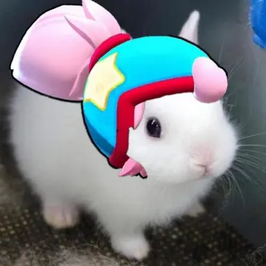 Profile image of 자넷