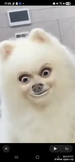Profile image of 찐따남
